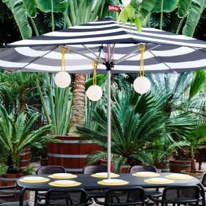 bolleke gallery image 3