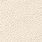 Ivory TR500
