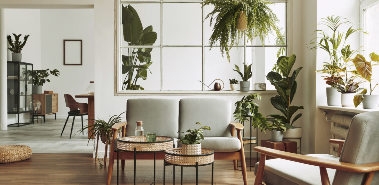 abitare home banner (5)